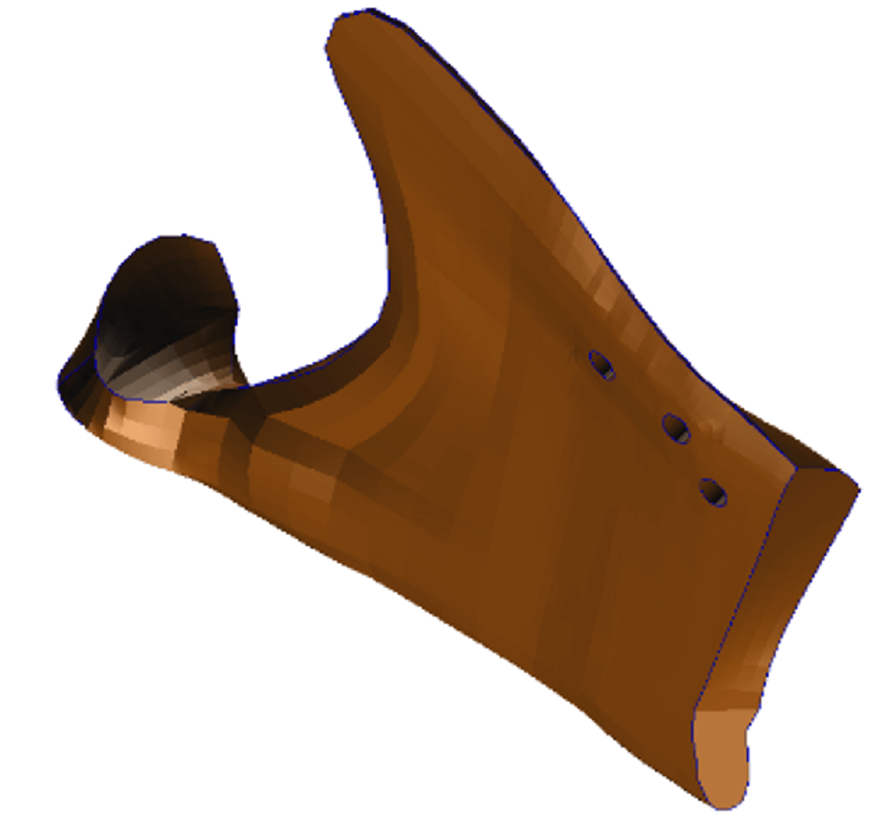 The posterior fragment